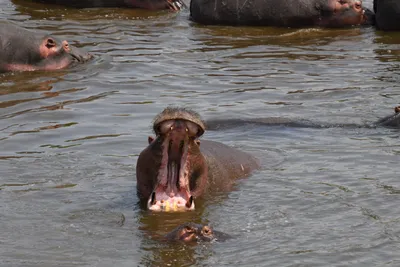 DSC_3644 (Large).JPG